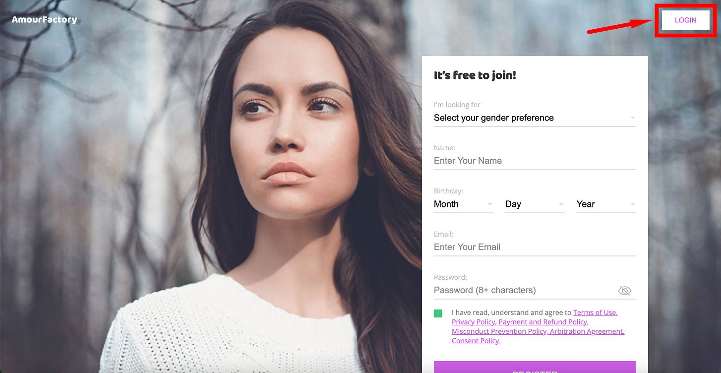 Amour Factory dating site login process